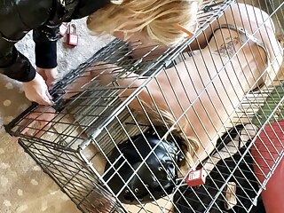 Locked Inside A Dog Cage And Chastity Cage, Femdom Fisting And Foot Plus Dildos Of Course free video