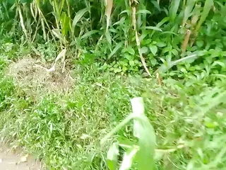 Jungle Mein Female Randi Ko Dekha Our Bhaag Kar Muth Maari Or Pessab Kiya free video