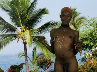 Black Lingerie Tgirl Stripping Before Jerking free video